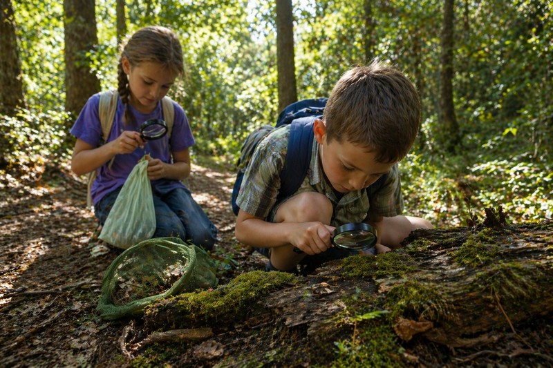 Forest and nature trail hunt: two children on a woodland path, dappled sunlight, magnifying glasses, mesh bags for nature finds, authentic outdoor exp