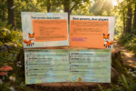 Printable forest treasure hunt for kids with an easy-to-follow game guide, story, station instructions, and woodland activities for a fun outdoor adventure.