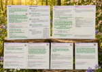 Printable spring treasure hunt story and game leader guide with Felix the Fox, 8 nature stations, bonus activities, and spring adventure instructions.